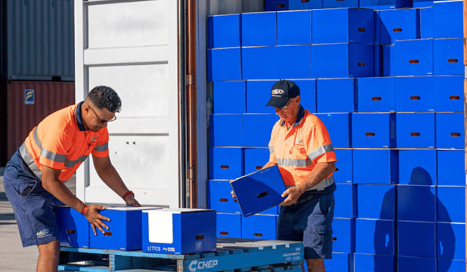 Carga, Sea cargo